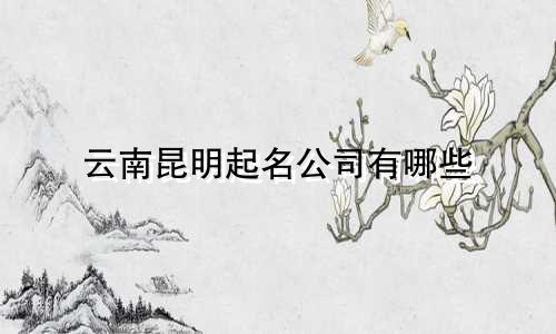 云南昆明起名公司有哪些