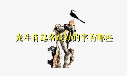龙生肖起名最好的字有哪些