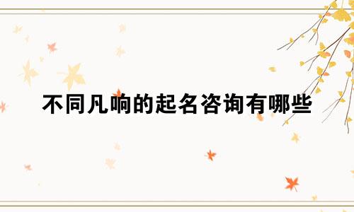 不同凡响的起名咨询有哪些