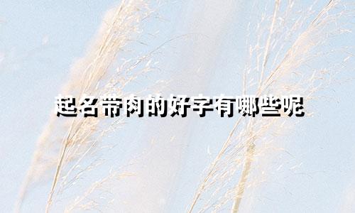 起名带肉的好字有哪些呢