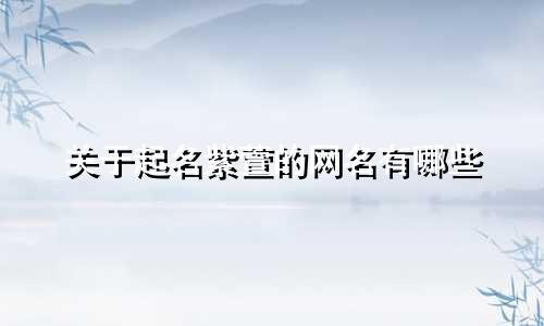 关于起名紫萱的网名有哪些