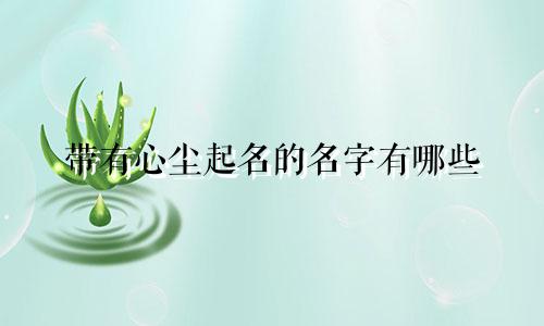 带有心尘起名的名字有哪些