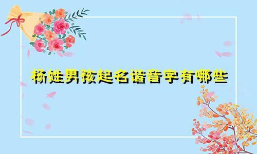 杨姓男孩起名谐音字有哪些