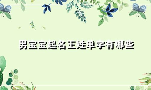男宝宝起名王姓单字有哪些