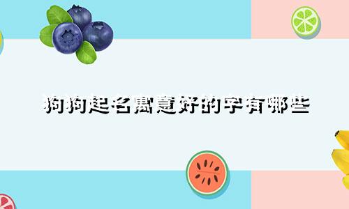 狗狗起名寓意好的字有哪些