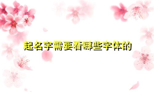 起名字需要看哪些字体的