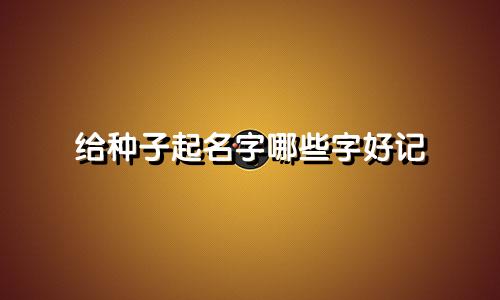 给种子起名字哪些字好记
