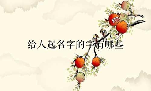 给人起名字的字有哪些