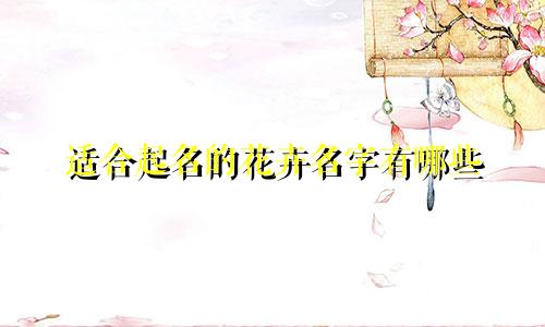 适合起名的花卉名字有哪些