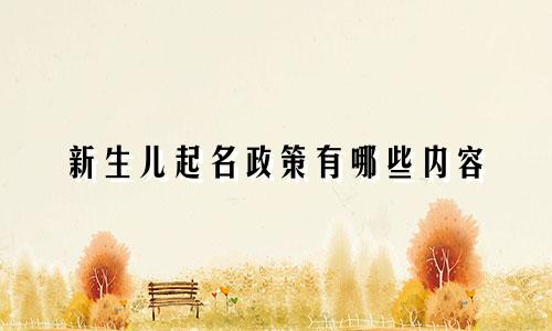 新生儿起名政策有哪些内容