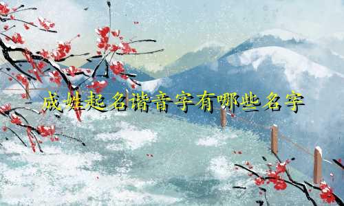 成姓起名谐音字有哪些名字