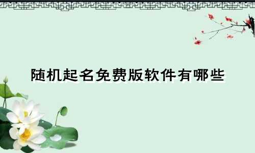 随机起名免费版软件有哪些