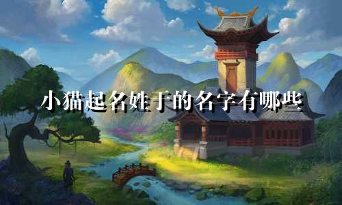 小猫起名姓于的名字有哪些