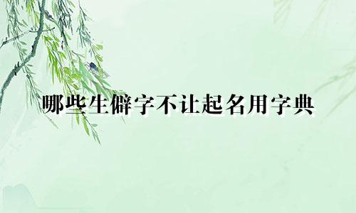 哪些生僻字不让起名用字典
