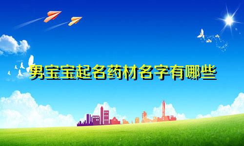 男宝宝起名药材名字有哪些