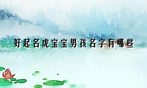 好起名虎宝宝男孩名字有哪些
