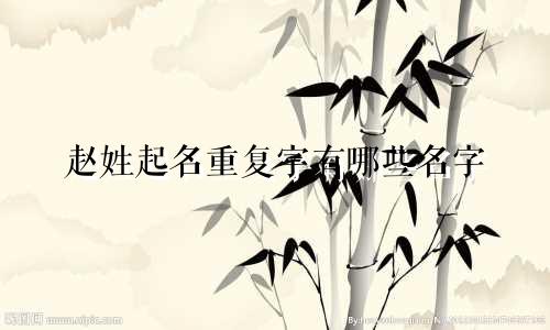 赵姓起名重复字有哪些名字