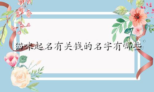猫咪起名有关钱的名字有哪些