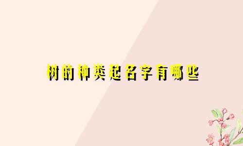 树的种类起名字有哪些