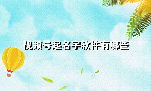 视频号起名字软件有哪些