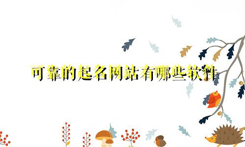 可靠的起名网站有哪些软件
