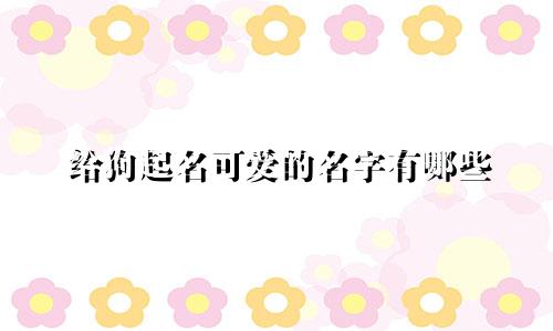 给狗起名可爱的名字有哪些