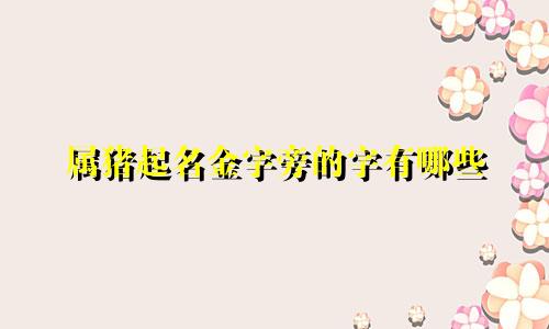 属猪起名金字旁的字有哪些