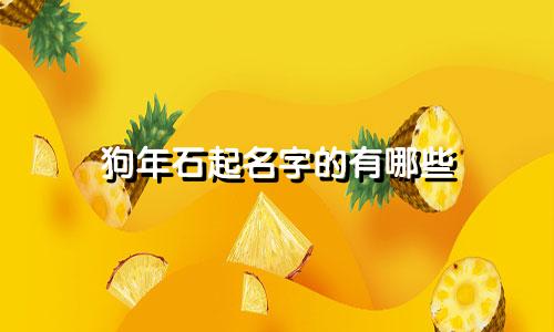 狗年石起名字的有哪些