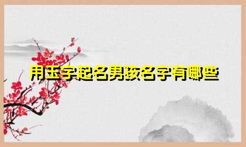 用玉字起名男孩名字有哪些