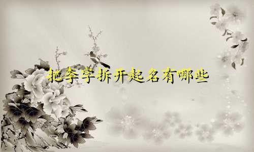 把李字拆开起名有哪些