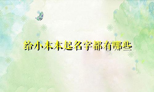 给小本本起名字都有哪些