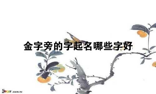 金字旁的字起名哪些字好