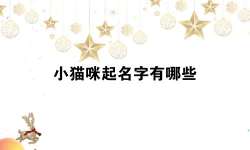 小猫咪起名字有哪些
