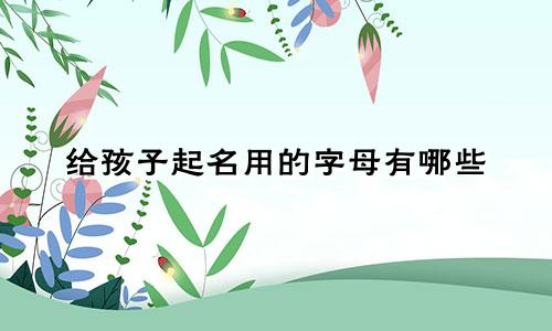 给孩子起名用的字母有哪些