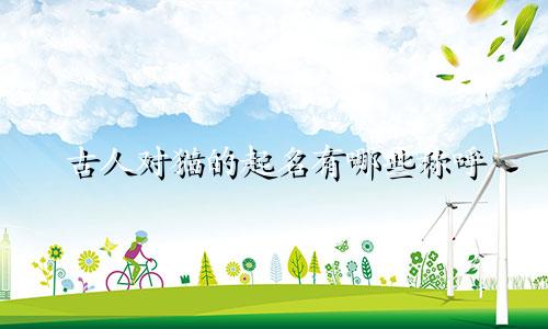 古人对猫的起名有哪些称呼