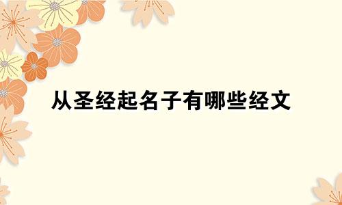 从圣经起名子有哪些经文