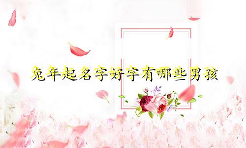 兔年起名字好字有哪些男孩