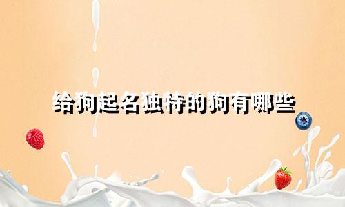给狗起名独特的狗有哪些