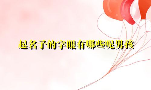 起名子的字眼有哪些呢男孩