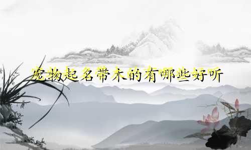 宠物起名带木的有哪些好听