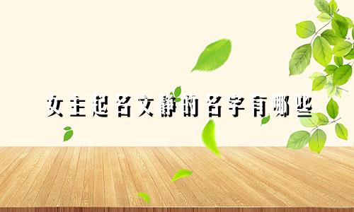 女主起名文静的名字有哪些