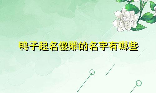 鸭子起名傻雕的名字有哪些