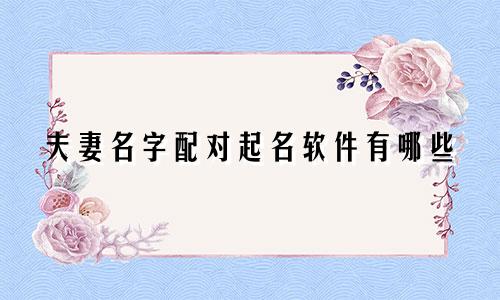 夫妻名字配对起名软件有哪些
