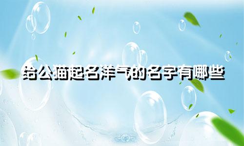 给公猫起名洋气的名字有哪些