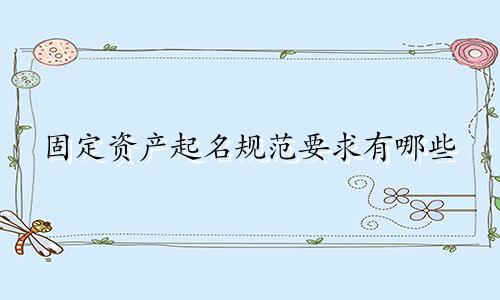 固定资产起名规范要求有哪些
