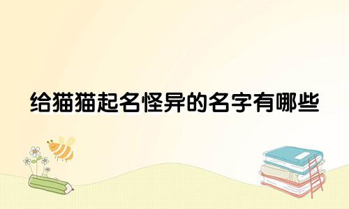 给猫猫起名怪异的名字有哪些