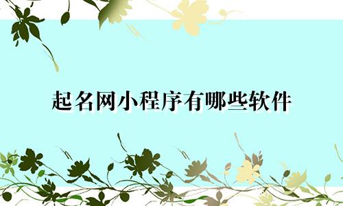起名网小程序有哪些软件