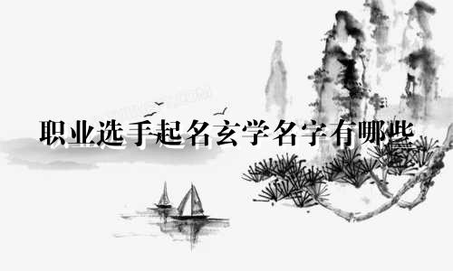 职业选手起名玄学名字有哪些
