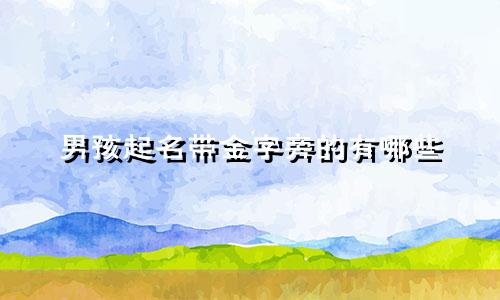 男孩起名带金字旁的有哪些