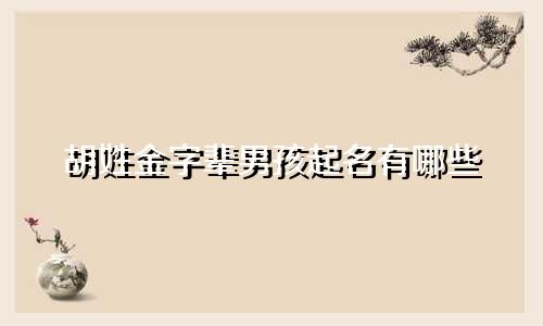 胡姓金字辈男孩起名有哪些